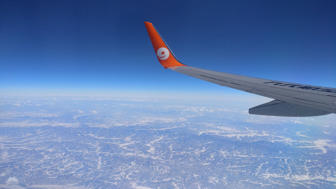 Pourquoi certains avions ont-ils des winglets ?