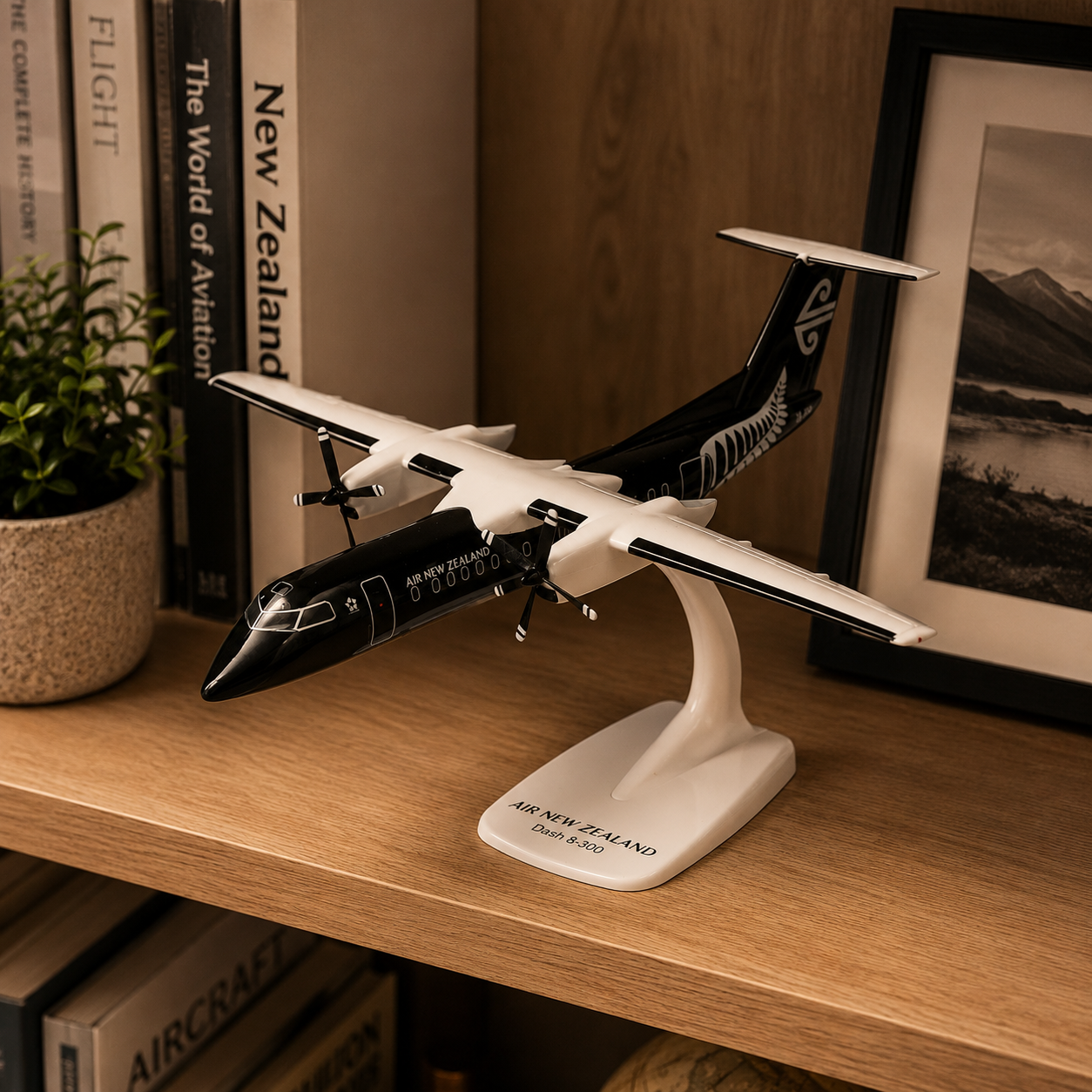 Modèle réduit Fokker F100 Air New Zealand