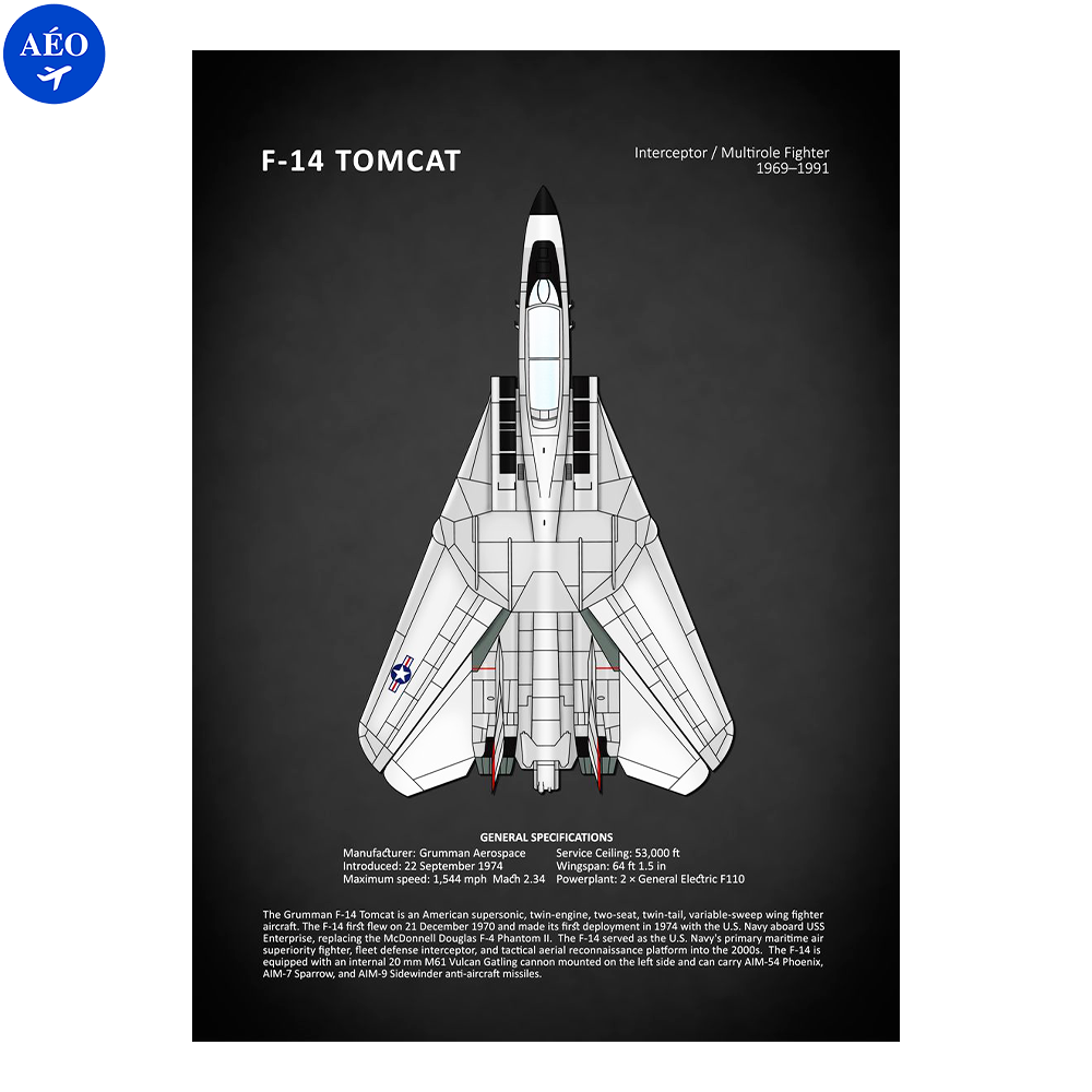Aéo - Toiles Murale Avions De Chasse