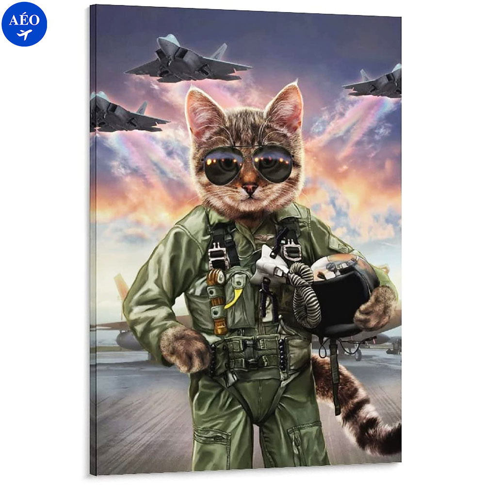 Aéo - Affiche Pilote Cat