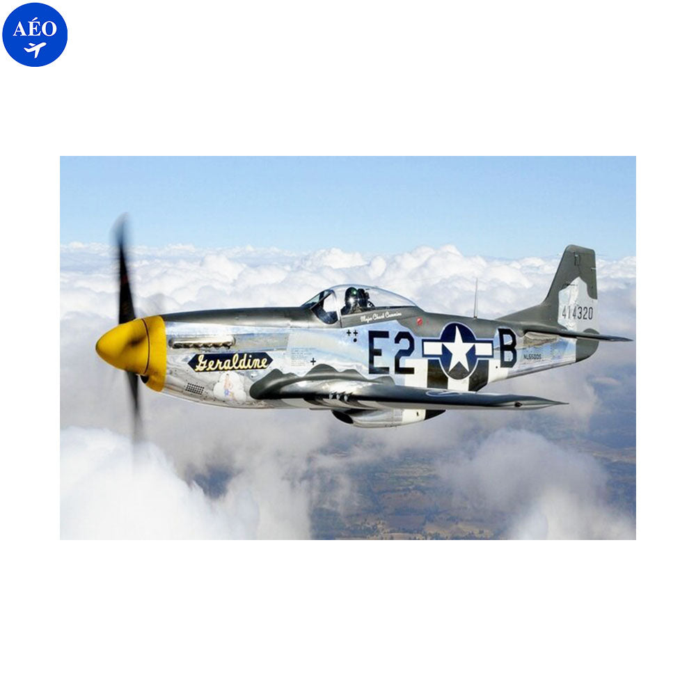 Aéo - Affiche Mustang P51 en Tissu